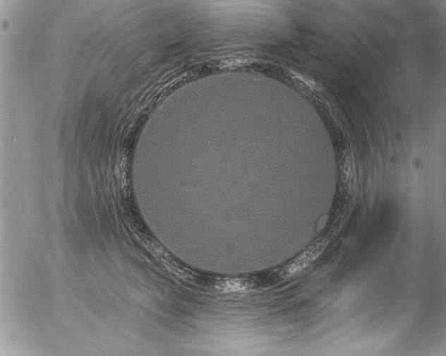 X0000057090565200509091316