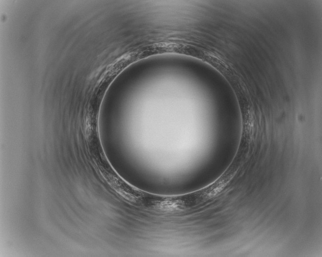 X0000057090566200509091316