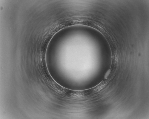 X0000057090567200509091316