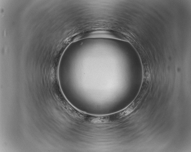 X0000057090568200509091316