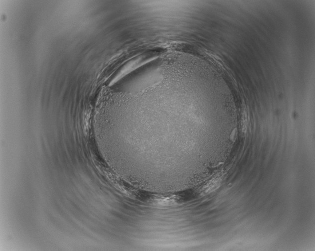 X0000057090569200509091316