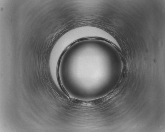 X0000057090570200509091316