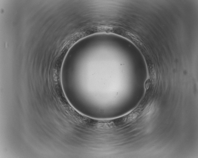 X0000057090571200509091316