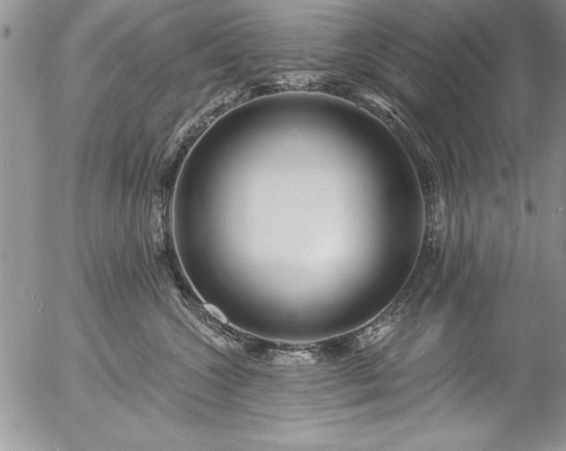 X0000057090572200509091316