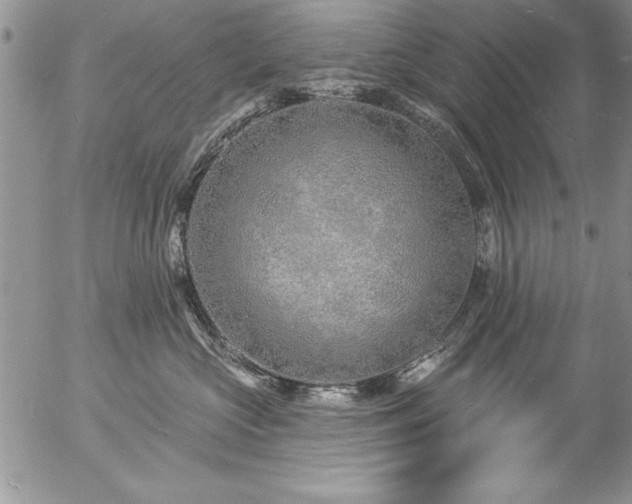 X0000057090573200509091316