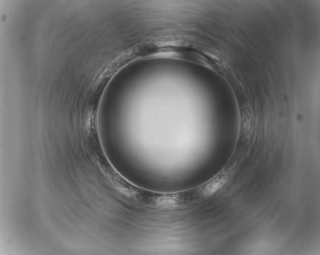 X0000057090574200509091316