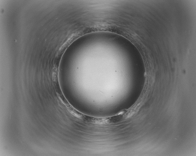 X0000057090576200509091316