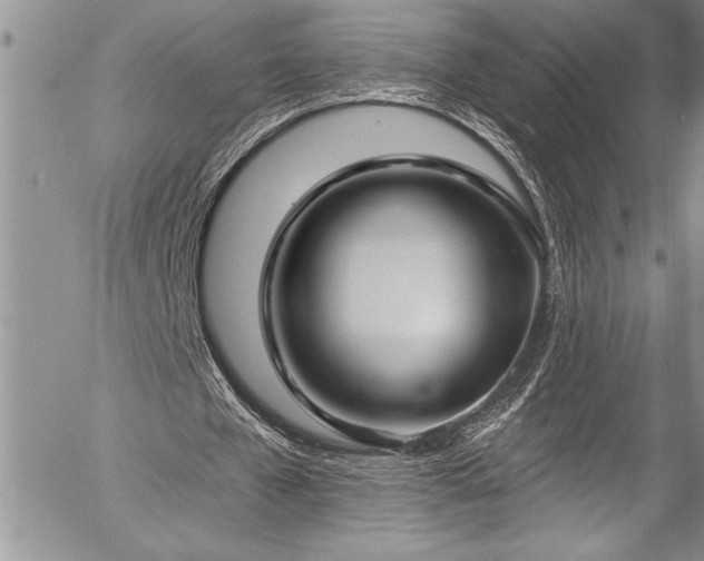 X0000057090577200509091315