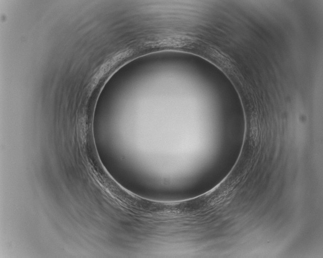 X0000057090578200509091315