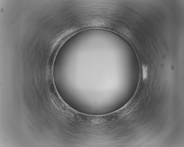 X0000057090579200509091315