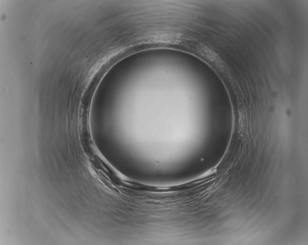 X0000057090580200509091315