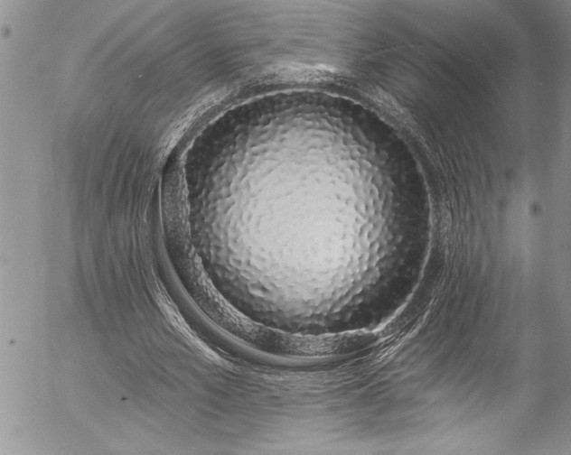 X0000057090581200509091315