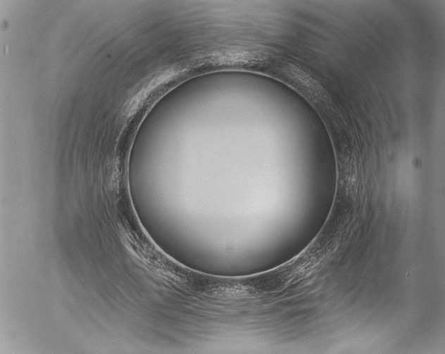 X0000057090583200509091315