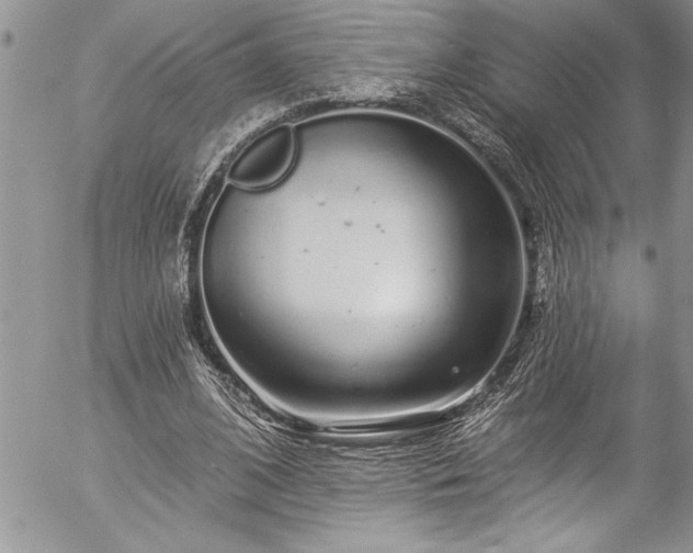 X0000057090584200509091315