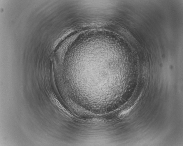 X0000057090585200509091315