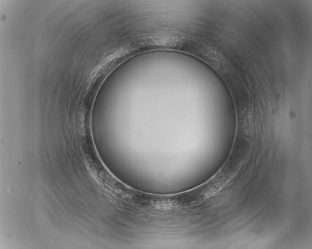 X0000057090587200509091315