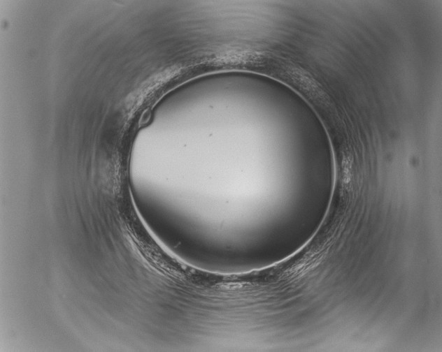 X0000057090588200509091315