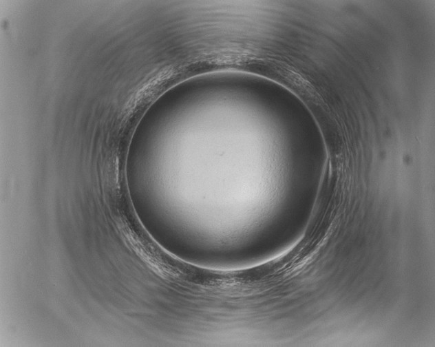 X0000057090589200509091315