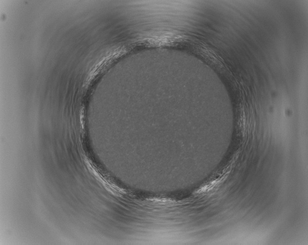 X0000057090590200509091315