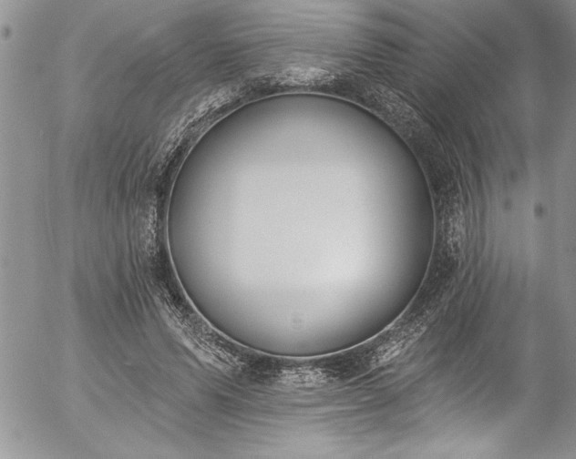 X0000057090591200509091315