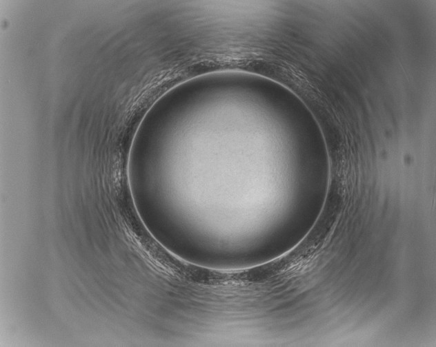 X0000057090593200509091315