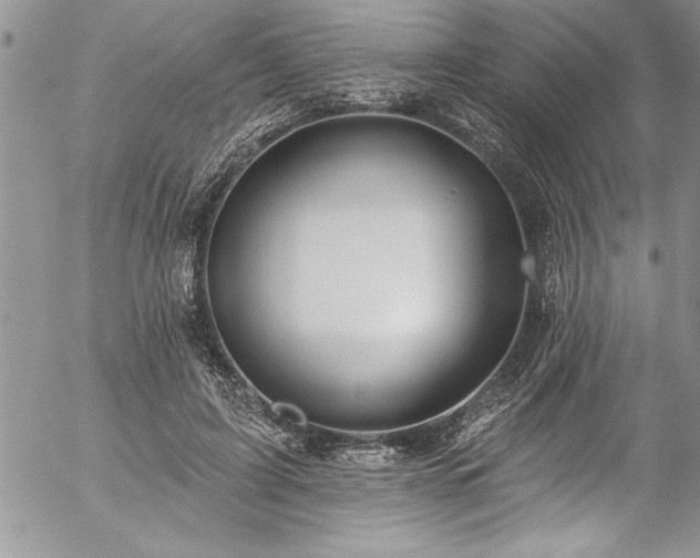 X0000057090595200509091315