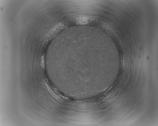 X0000057090598200509091315