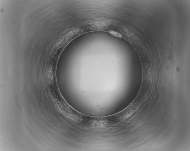 X0000057090599200509091315