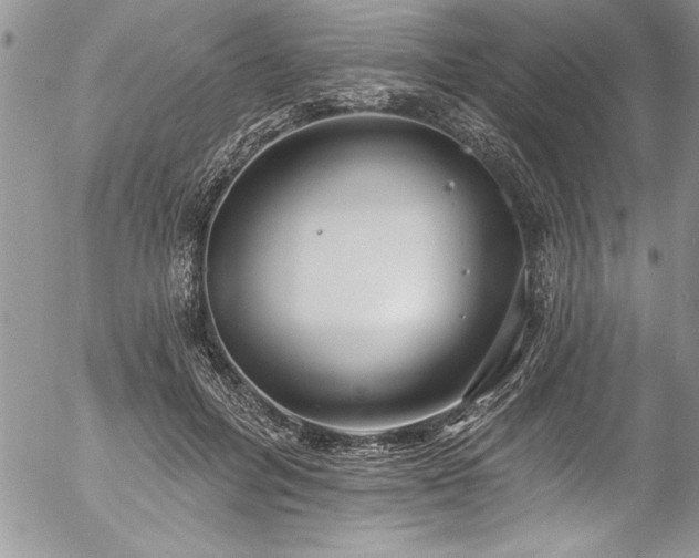 X0000057090600200509091315