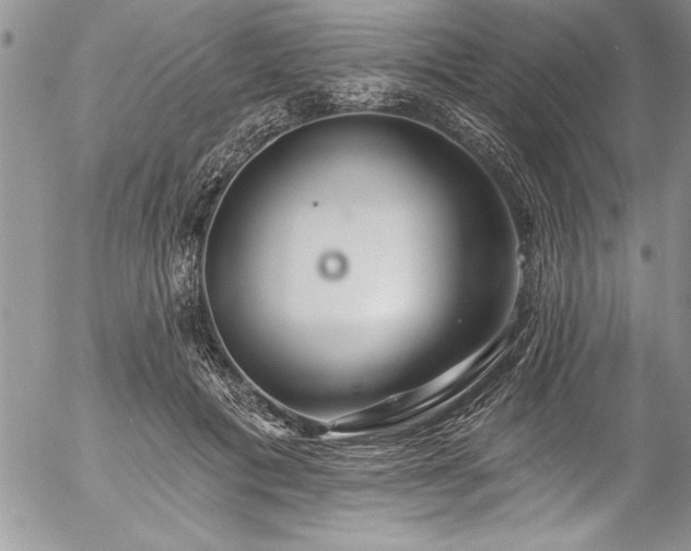 X0000057090601200509091315