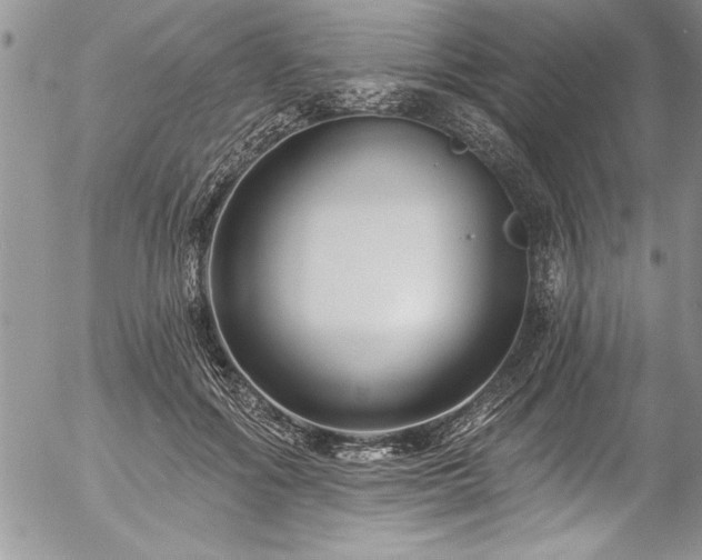 X0000057090602200509091315