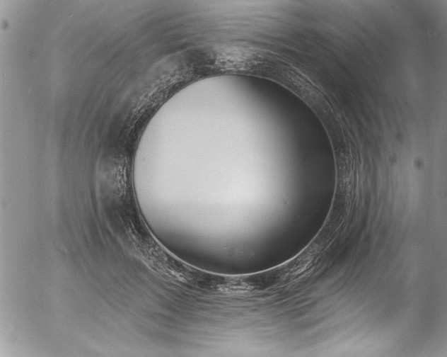 X0000057090603200509091315