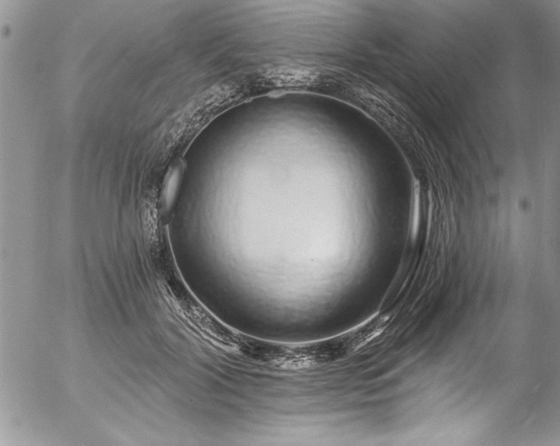 X0000057090604200509091315