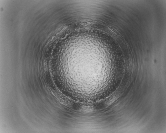 X0000057090606200509091315