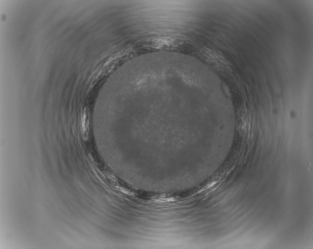 X0000057090607200509091315