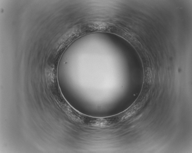 X0000057090612200509091315