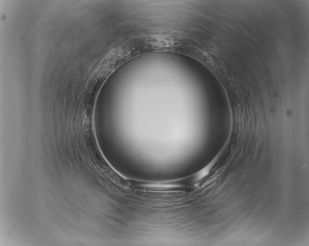 X0000057090614200509091315