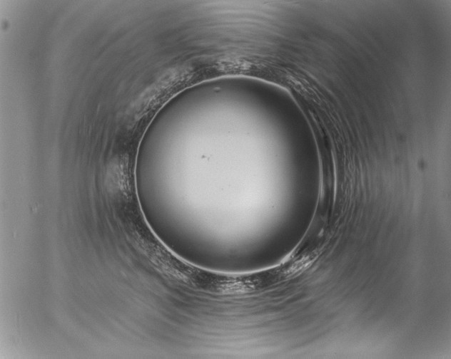 X0000057090616200509091315