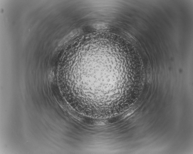 X0000057090618200509091315