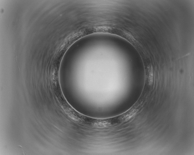 X0000057090619200509091315