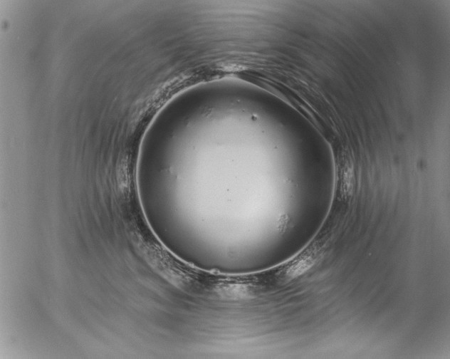 X0000057090620200509091315