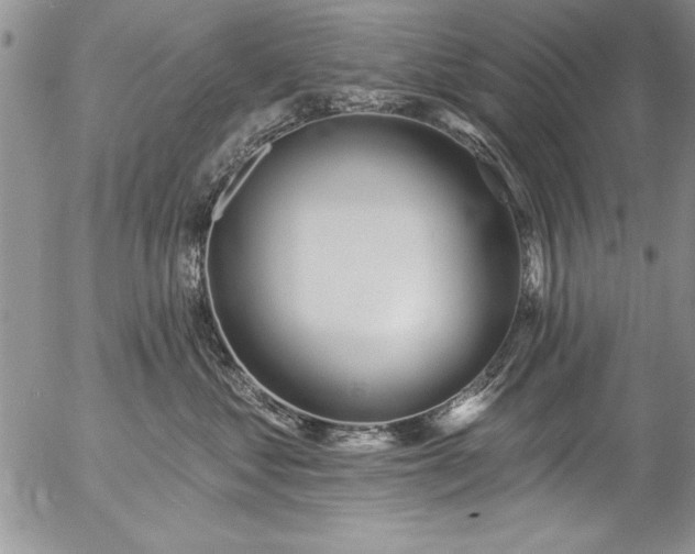 X0000057090621200509091315