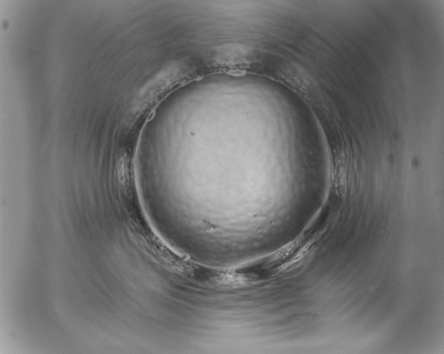 X0000057090623200509091315