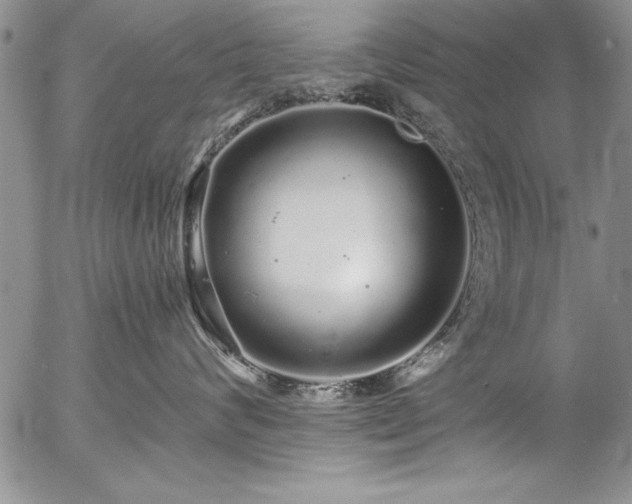 X0000057090624200509091315