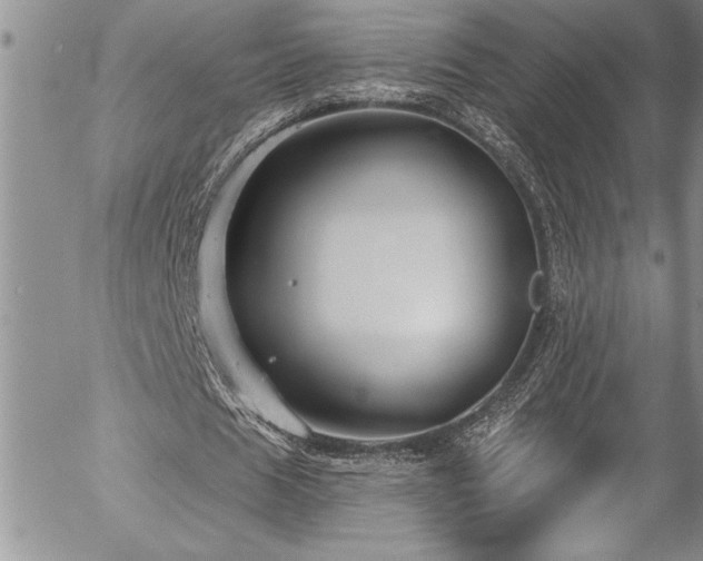 X0000057090625200509091314