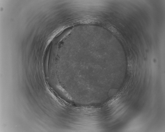 X0000057090626200509091314