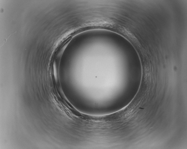 X0000057090628200509091314