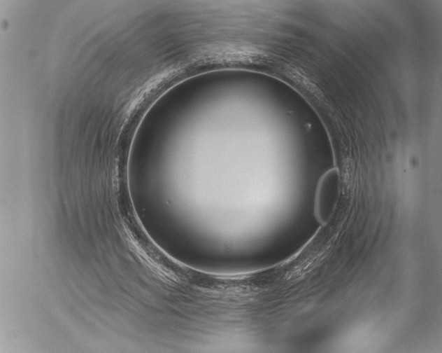 X0000057090629200509091314