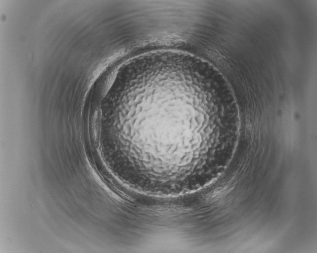 X0000057090630200509091314