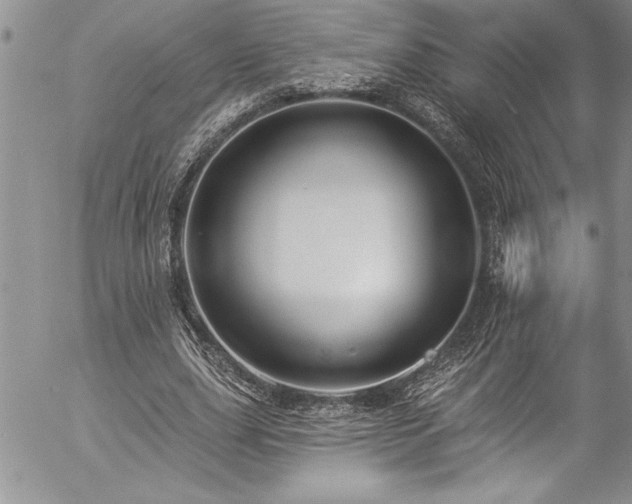 X0000057090631200509091314